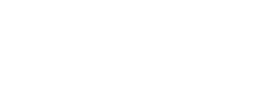 Swintt logo