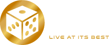 Vivo Gaming logo